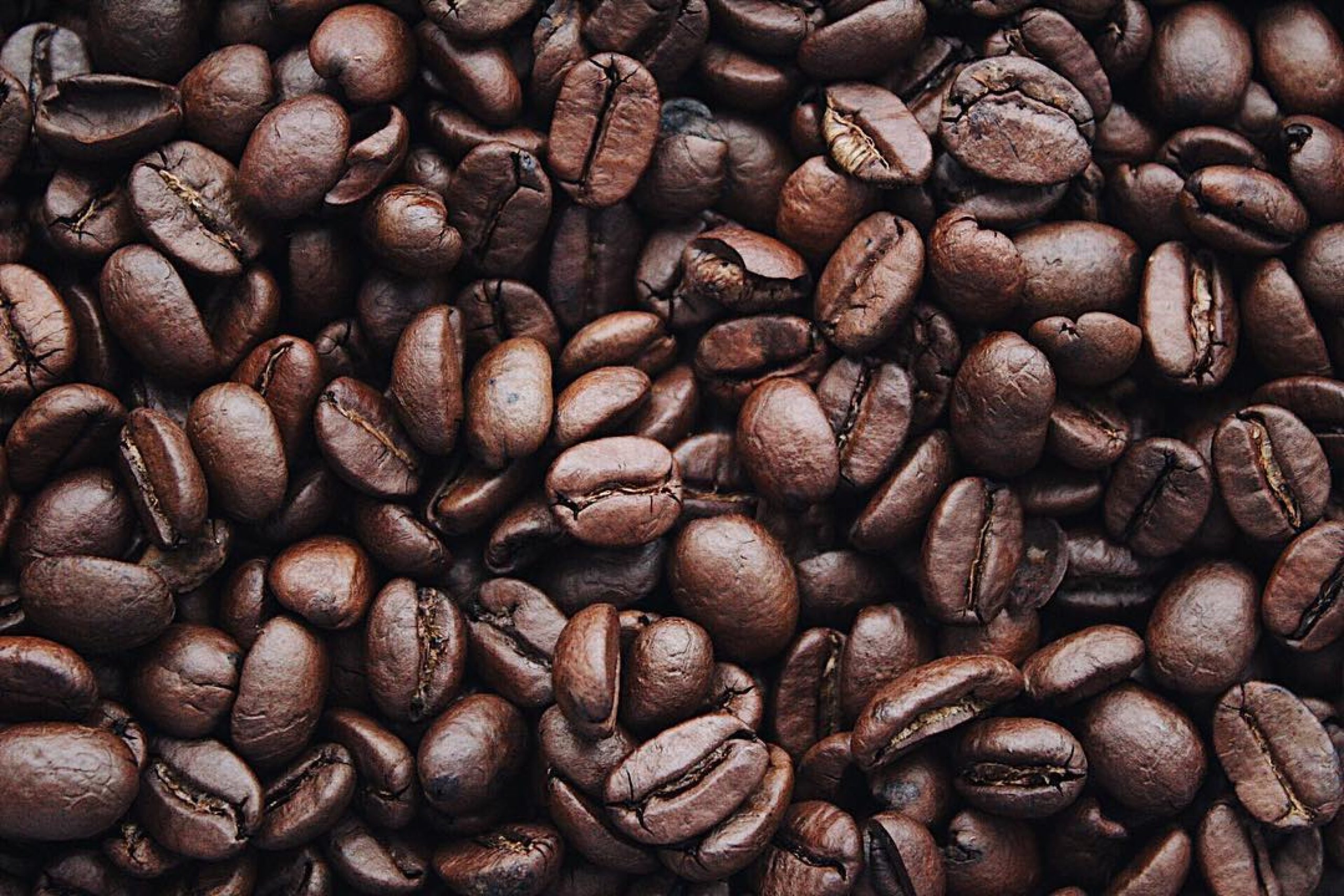 curiosità caffè